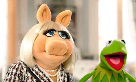 Miss Piggy and Kermit the Frog in The Muppets
