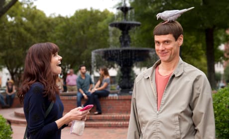 Jim Carrey Dumb and Dumber To