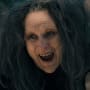 Into the Woods Meryl Streep Is The Witch