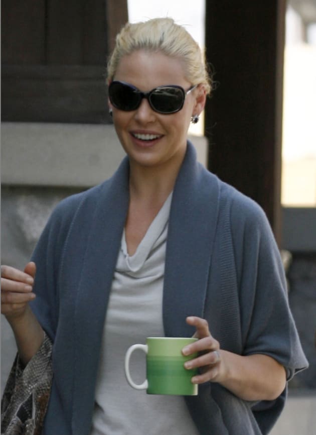 American Actress Katherine Heigl