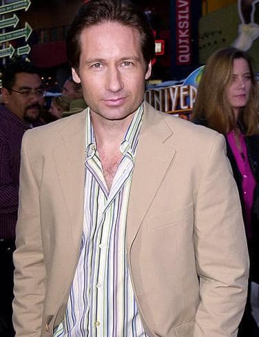 David Duchovny Picture