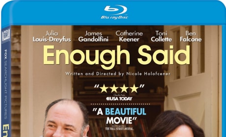 Enough Said DVD Review: Julia Louis-Dreyfus & James Gandolfini Make Magic