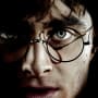 HP7 Harry Potter Poster