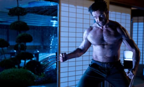 Hugh Jackman in The Wolverine