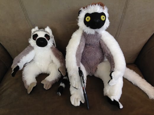 Lemurs Plus Toys