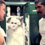 Super Troopers Pic