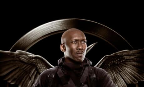 Mockingjay Part 1 Boggs Character Poster