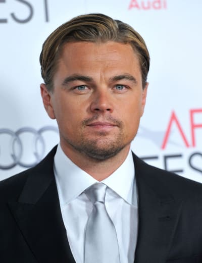 Leonardo DiCaprio Red Carpet Picture