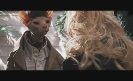 Seven Psychopaths Joke Trailer: PsychoCats