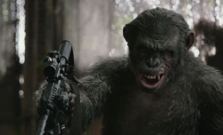 Dawn of the Planet of the Apes Still Picture