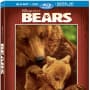 Bears DVD Review: Beary, Beary Good!