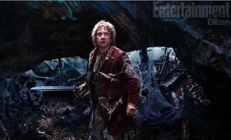 The Hobbit To Become a Trilogy? Peter Jackson in Talks to Shoot 3rd Film