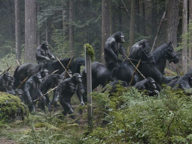 The Apes Think all Humans are Dead 