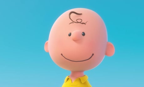 Peanuts Charlie Brown