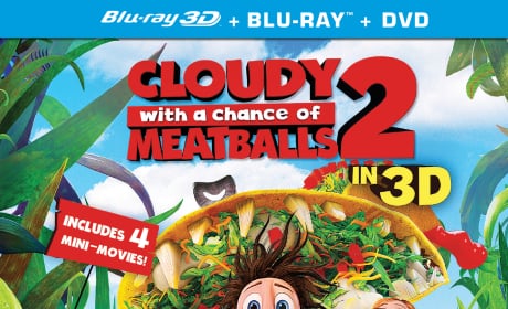 Cloudy with a Chance of Meatballs 2 DVD