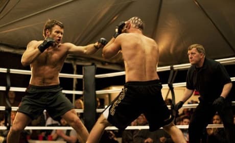 Warrior Movie Review: Families Who Fight