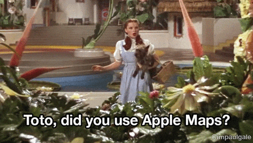 The Wizard of Oz GIF