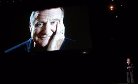 Robin Williams Emmys Tribute