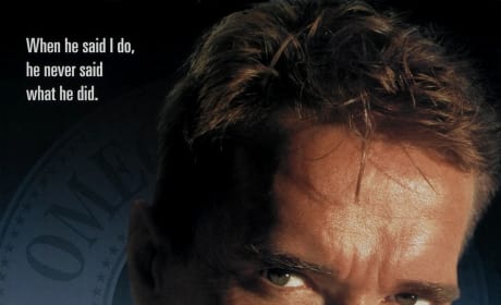 True Lies Poster