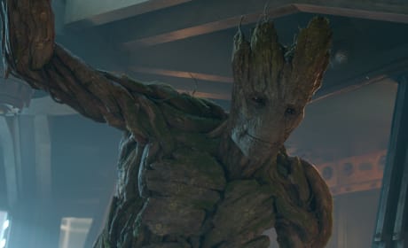 Guardians of the Galaxy: Vin Diesel Talks Life As a Tree