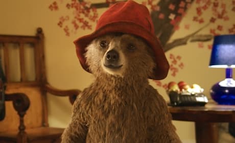 Paddington Review: A Beary Good Family Movie!