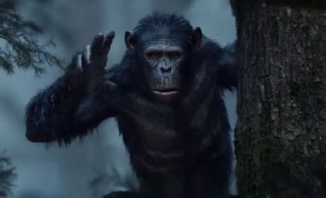Dawn of the Planet of the Apes Still
