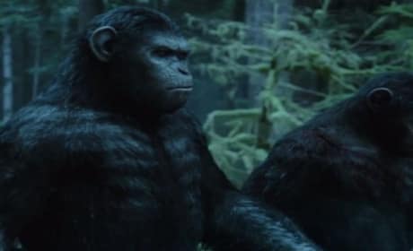 Dawn of the Planet of the Apes International Trailer: Fresh Footage!