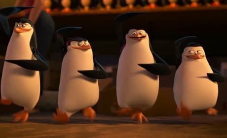 11 Most Memorable Penguins of Madagascar Quotes: You Just Mermaid My Day! 