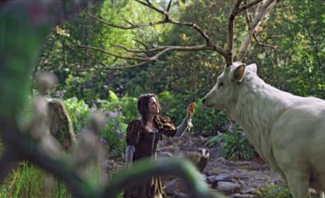 Snow White and the Huntsman Still: Snow White in the Forest
