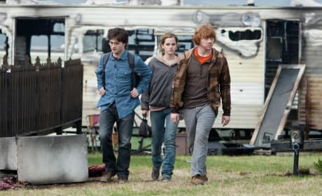 Harry, Hermoine and Ron on the Prowl