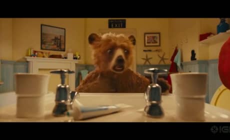 Paddington Trailer