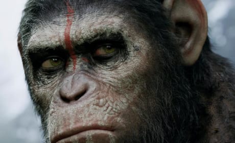 Dawn of the Planet of the Apes Caesar Poster