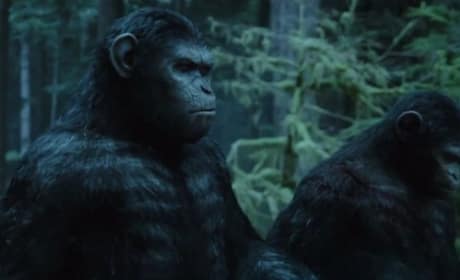 Dawn of the Planet of the Apes Still Photo