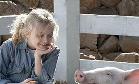 Wilbur Picture