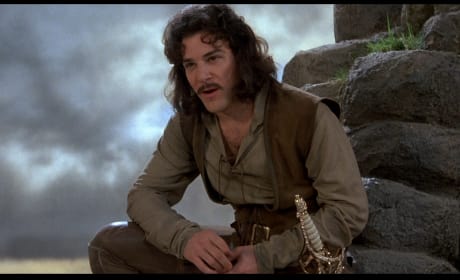 Mandy Patinkin Stars The Princess Bride