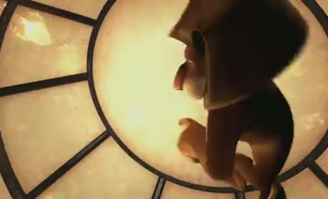 DVD Preview: Madagascar 3, That's My Boy & Moonrise Kingdom