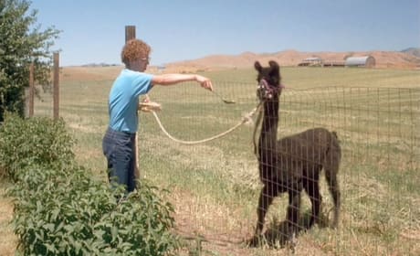 Napoleon Dynamite Tina the Llama