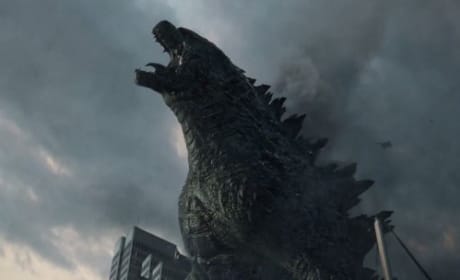 Top 11 Highest Grossing Films of 2014: Who’s Number One? 