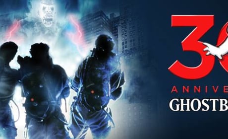 Ghostbusters 30th Anniversary Banner