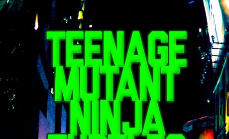 Teenage Mutant Ninja Turtles 1990 Movie Poster