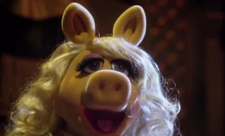 Muppets Most Wanted Miss Piggy