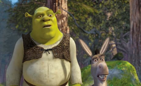 Shrek and Donkey Photo