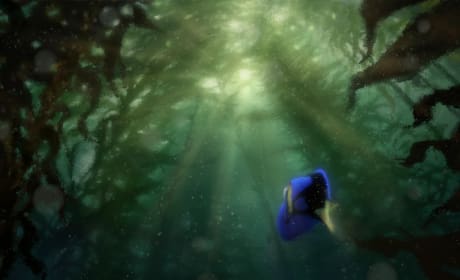 Pixar Updates from D23: Finding Dory Casting Updates and More