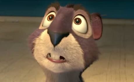 The Nut Job Gets a Sequel: Getting Nuttier?