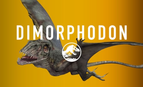 Jurassic World Dimorphodon