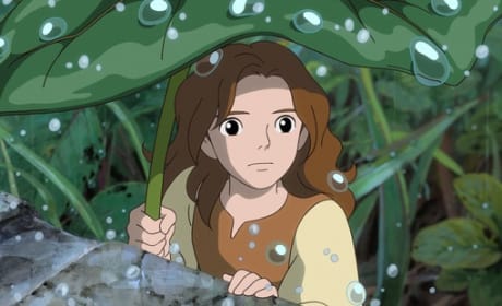 Secret World of Arrietty Movie Review: The Art of Film