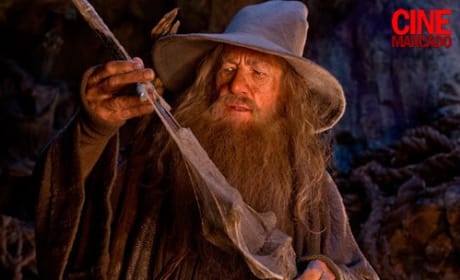Gandalf The Hobbit Still