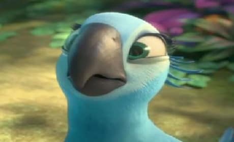 Rio 2 Movie Fanatic