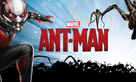 Ant-Man Banner Reveals Yellowjacket! 