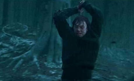 Ron Goes Batshit